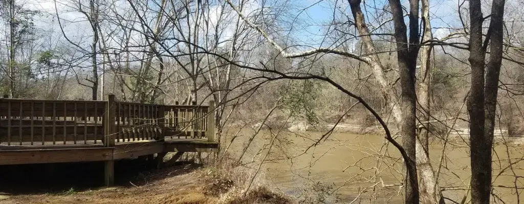 15 MEJORES parques acuáticos en Mississippi (¡diversión familiar favorita!)