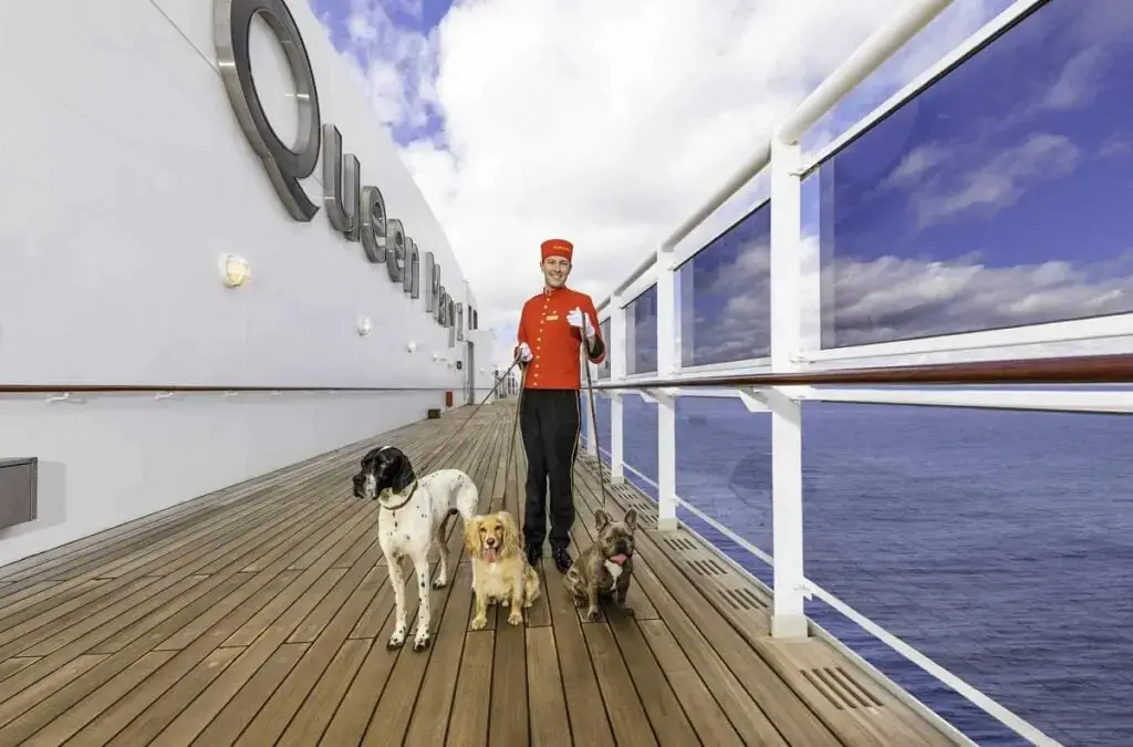 Los 12 MEJORES cruceros para perros (¡Hacer turismo con tu mejor amigo!)