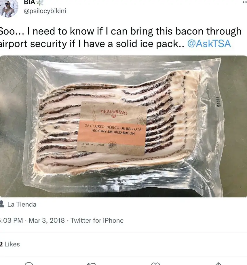 ¿Se pueden llevar bolsas de hielo en un avión?