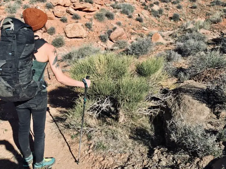 Cómo elegir los bastones de trekking adecuados - GearLab