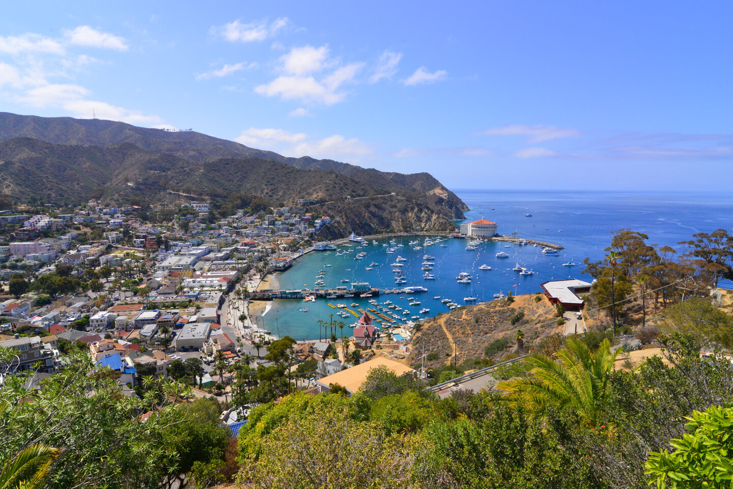 Escapada fuera de temporada a la isla Catalina, California |