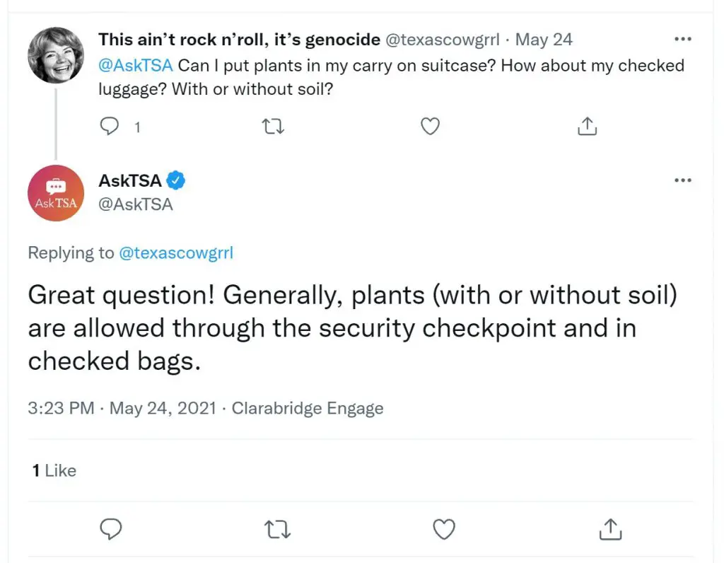 ¿Puedes llevar plantas en un avión? (Reglas de la TSA)